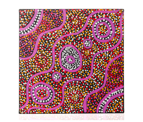 Winnie Mitchell - Patterns of the Landscape around Yuendumu