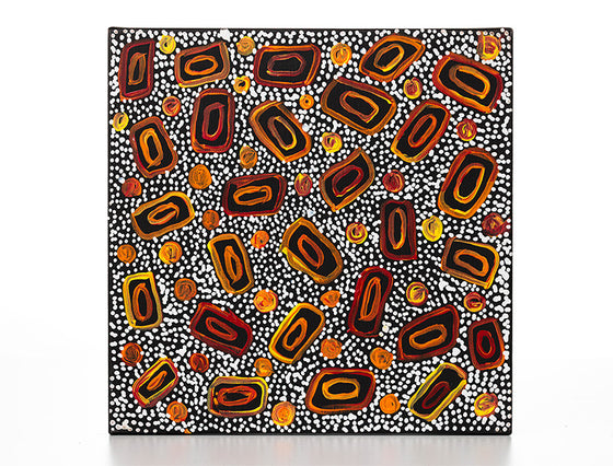 Wendy Nungarrayi Brown - Ngapa Jukurrpa (Water Dreaming) - Mikanji