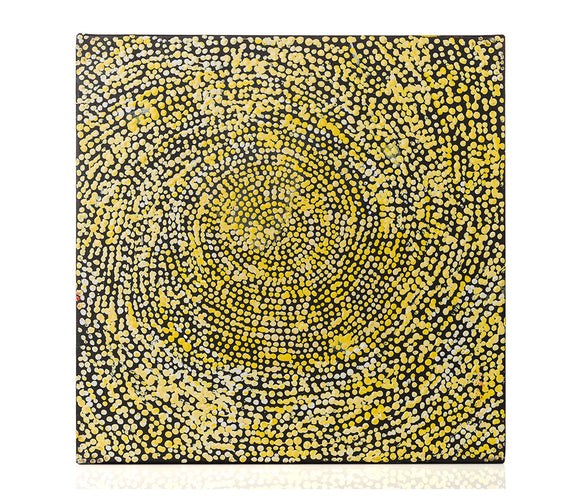 Sarah Napurrurla Leo - Ngapa Jukurrpa (Water Dreaming) - Puyurru